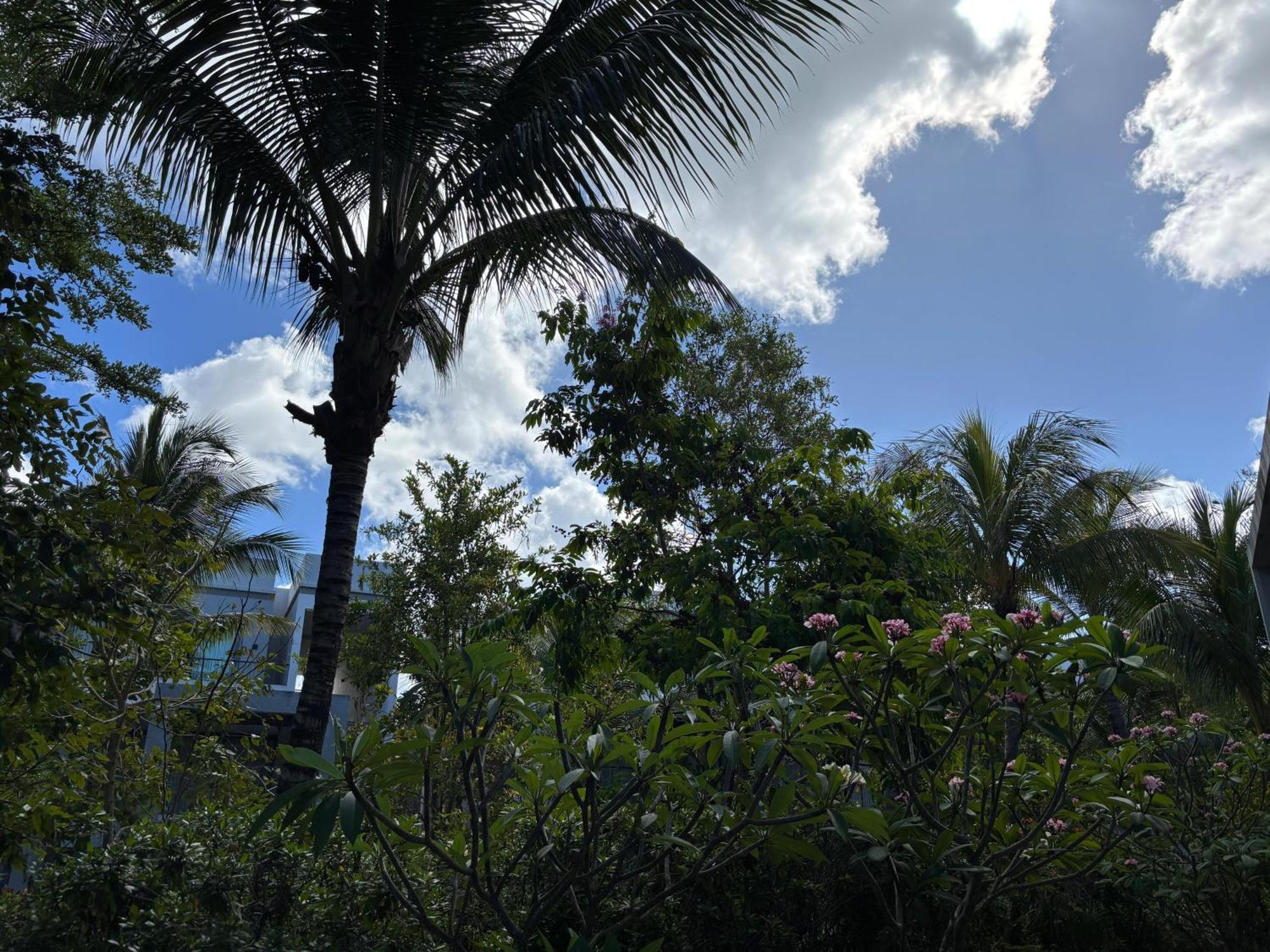 Mont Choisy Le Parc By Pam Golding Apartment Luaran gambar